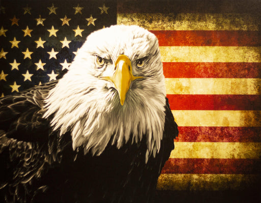 American Eagle with Flag 36x48x2" American Eagle with Flag 36x48x2" American Eagle with Flag 36x48x2" - euroshineshopAmerican Eagle with Flag 36x48x2"