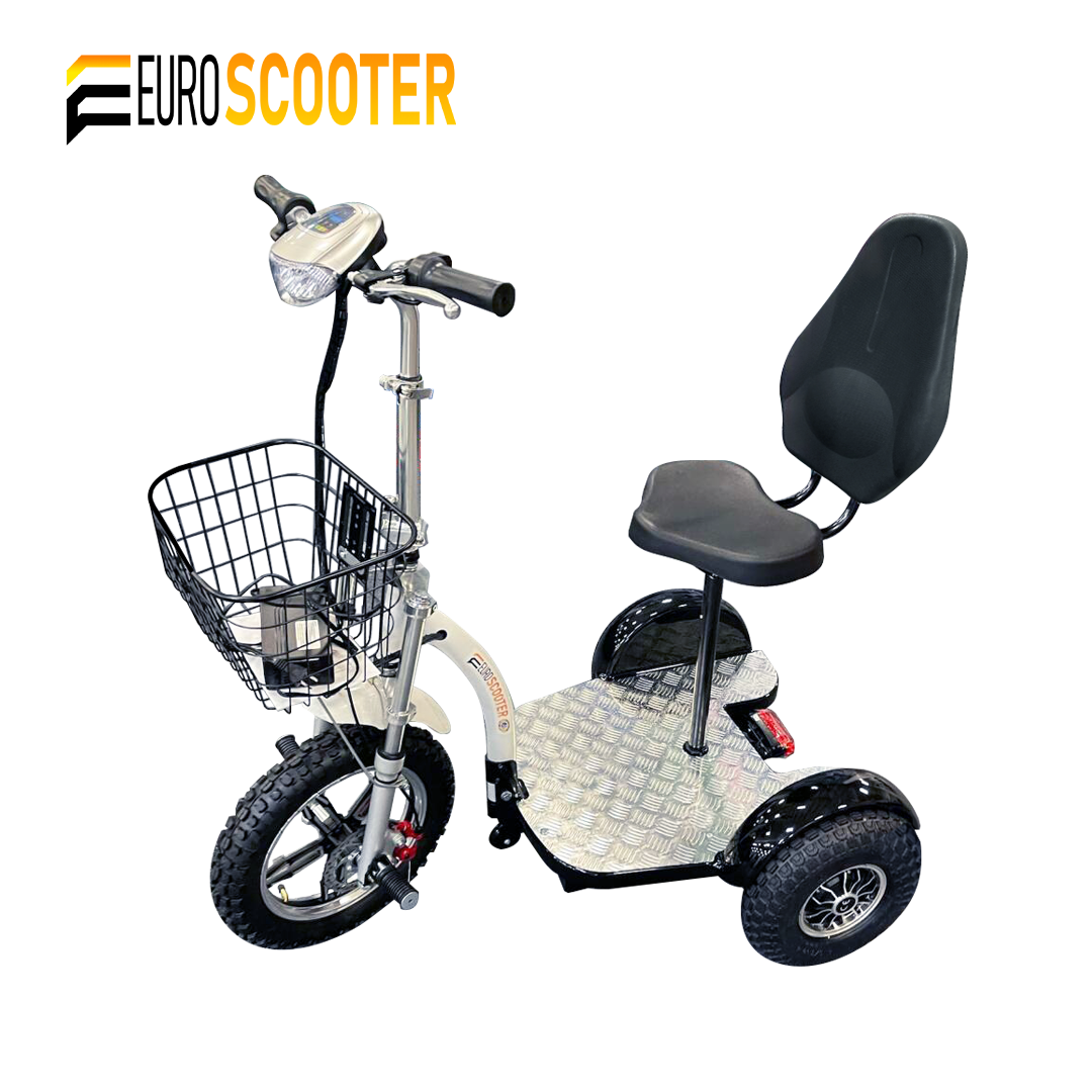 Euro Scooter Battery Charger - Roma — Euroshine